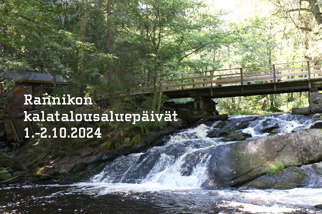 rannikon-kalatalousaluep-iv-t-1-2-10-2024-sein-joella-ahven