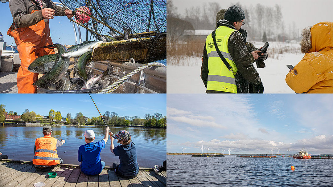Nu söker vi en biolog / expert på vattenmiljön till en tillsvidareanställning med arbetsuppgifter kopplade till Östersjön och fiskerihushållning.